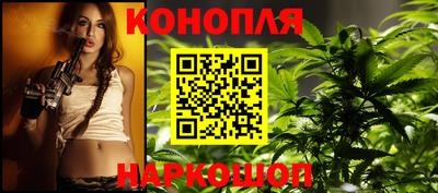 прущие крисы Шелехов