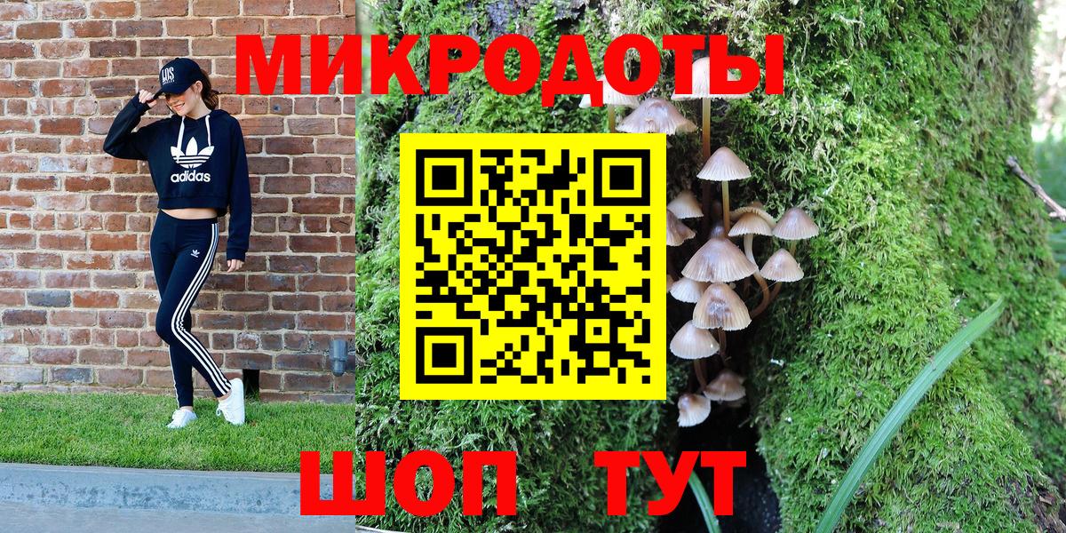 Людиново  Псилоцибиновые грибы мицелий  Вход с VPN 
